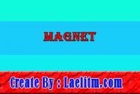 35.Magnet